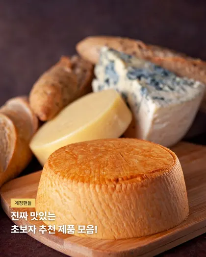 음식 추천형 카드뉴스 템플릿