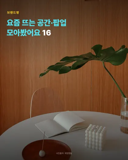 공간 팝업 목록 카드뉴스 템플릿
